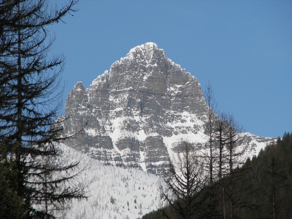 Glacier Haven Inn Pinnacle Eksteriør bilde